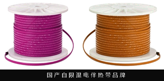 国产电伴热带可以替代进口品牌的电伴热带吗(图2)