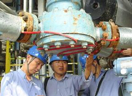 对于阀门较多区域保温选择自限温伴热带系统(图1)