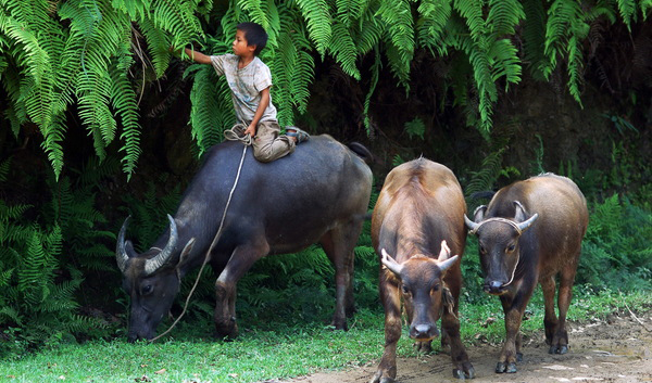 立志当立天下志,求名当求万世名(图1) 立志当立天下志,求名当求万世名(图1)