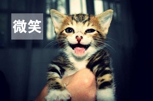 用心感受世界,因活着而幸福(图1) 用心感受世界,因活着而幸福(图1)