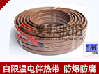 自限温电伴热带