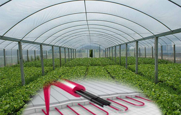 植物栽培电伴热带保温促生长