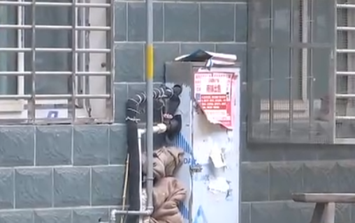 自来水管道保温电伴热带，冬季管道防冻新宠(图2)